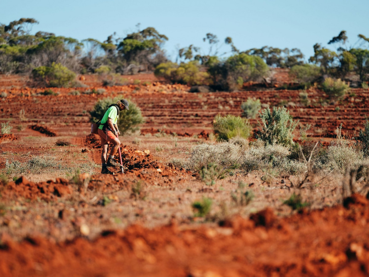 Image from the project