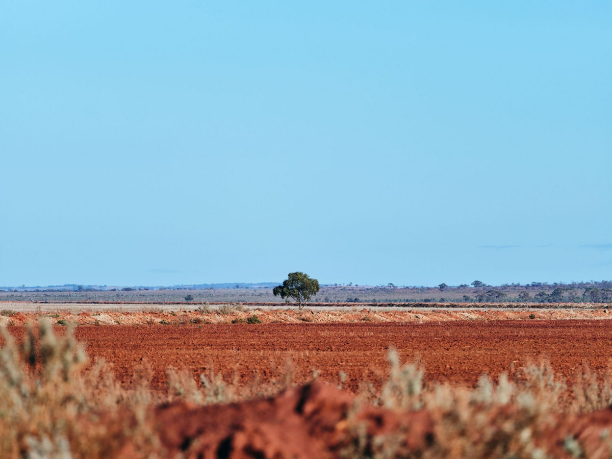 Image from the project