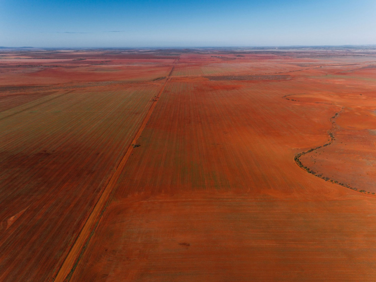 Image from the project