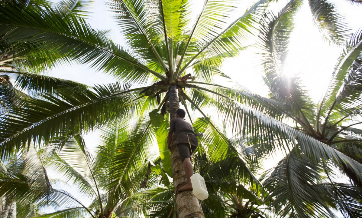 Image from the project