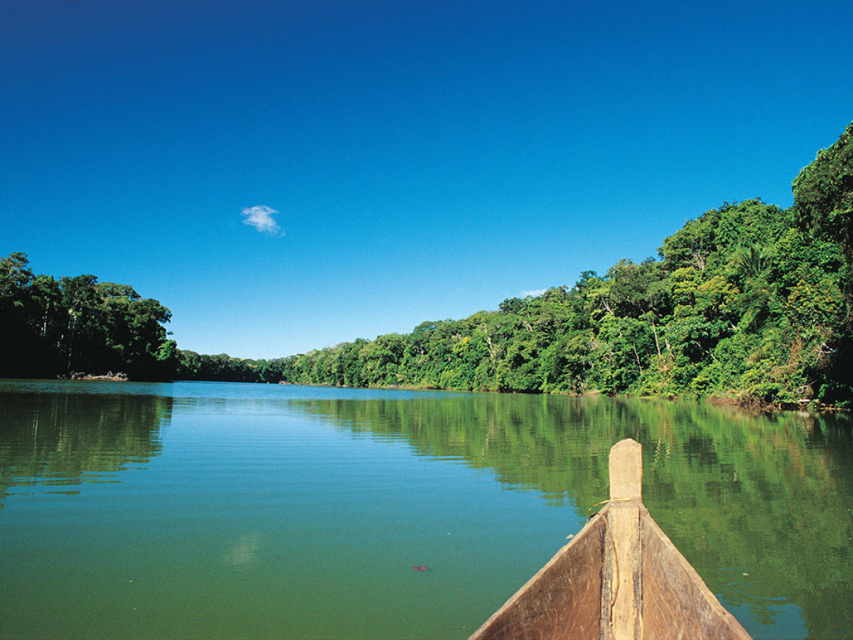 Image from the project