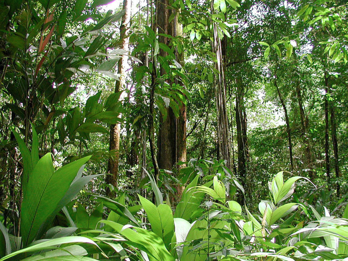 Image from the project