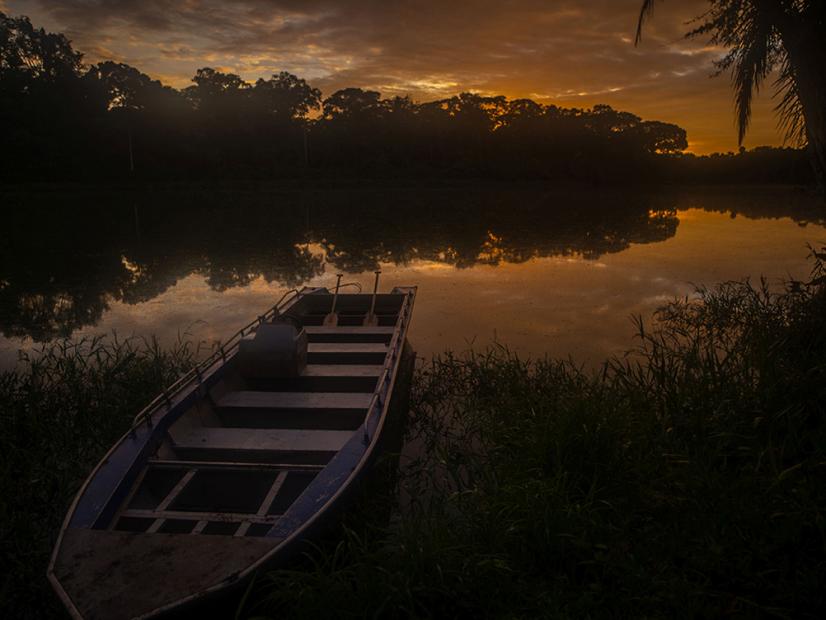 Image from the project